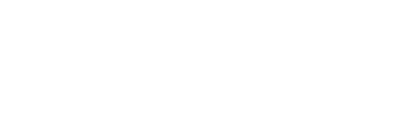 Nara Volpi - Acessoria Contábil - Escritório de Contabilidade - Logo - 02